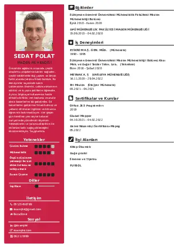 cv indir